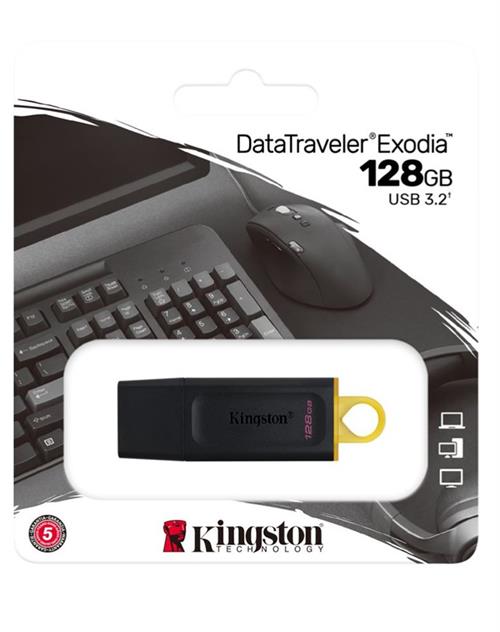 Kingston USB 3,2 128 GB